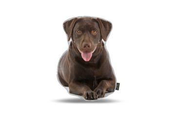 Image of Lifelike Pillows Custom Dog Shaped Pillow, Chocolate Labrador, 16 inch Tall/4 inch Thick, DOG20-SH-16