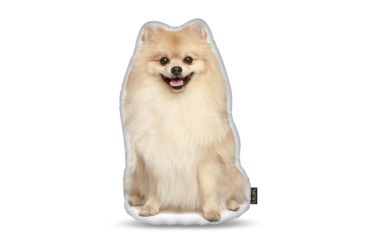 Image of Lifelike Pillows Custom Dog Shaped Pillow, Pomeranian, 16 inch Tall/4 inch Thick, DOG22-SH-16