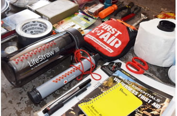 Image of LifeStraw Personal Water Filter, American Red Cross, LSPHF035