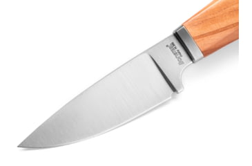 Image of Lionsteel Willy Fixed Blade Knife, 3.1in, M390 Steel, Drop Point, Olive Wood Handle, Olive, WL1 UL