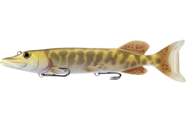 Image of Live Target Juvenile Pike - Swimbait