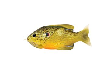 Image of Live Target Sunfish HB,surface,Grn/Brnz pumpknseed3/0 SFH75T557
