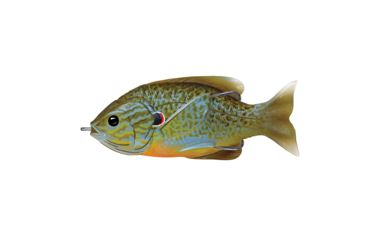 Image of Live Target Sunfish HB,surface,natral/Blu pumpknsd4/0 SFH90T551