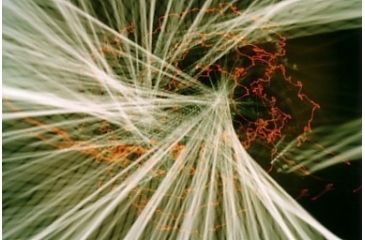 Image of Fun with Color Splash