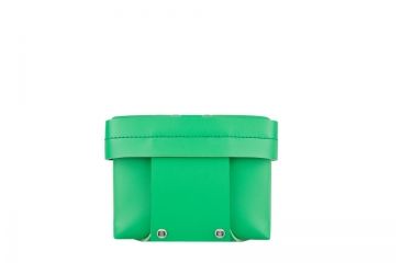 Image of Lomography Diana Camera Case, Fern Green, Back 467