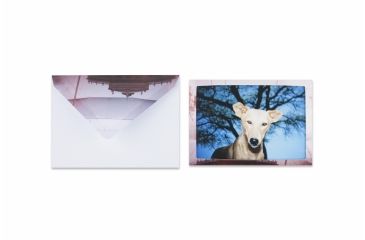 Image of Lomography Journey Frame - Set Small Landscape 233