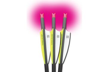 Image of Lumenok Crossbow Bolt Pink Moon 20 in, Black, Pack of 3, BECC3P
