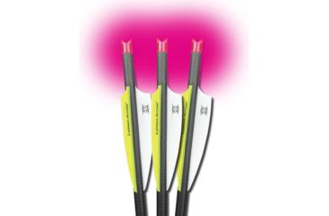 Image of Lumenok Crossbow Bolt Pink Moon 22 in, Black, Pack of 3, BECC223P