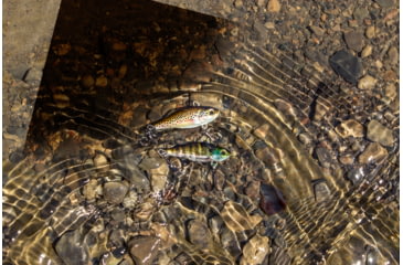 Image of Lunkerhunt Hatch Natural Bait, Brown Trout, 2in &amp; 15/16 oz, HATCH03