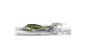 Image of Lunkerhunt Lunker Frog Combo, Assortment, 2.25in &amp; 1/2 oz, LFCOM01