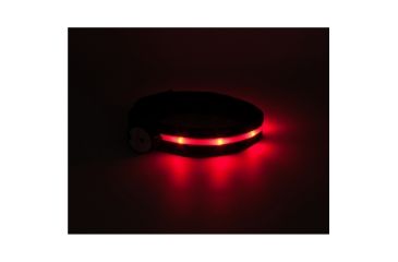 Image of Nite Beams - LED Armband