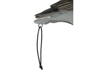 Image of Mayhem Decoys by Heavy Hauler Outdoor Gear Canada goose, Fullbody collapsible decoy, Painted head, Canada goose, 0147CP
