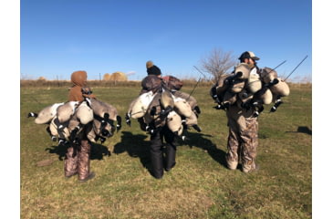 Image of Mayhem Decoys by Heavy Hauler Outdoor Gear Canada Lesser Decoy, 6 Pack, Flocked Head, 0147CFL