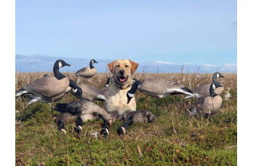 Image of Mayhem Decoys by Heavy Hauler Outdoor Gear Canada Lesser Decoy, 6 Pack, Flocked Head, 0147CFL