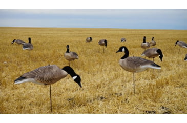 Image of Mayhem Decoys by Heavy Hauler Outdoor Gear Canada Lesser Decoy, Flocked Head, 0147CFL