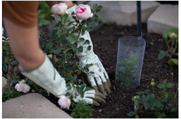 Image of Mechanix Wear Ethel Garden Rose Gauntlet Cuff Gloves - Womens, Rendezvous, Medium, ETH-RSE-520