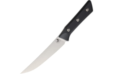 Image of Microtech Boning Knife SW Black, MCT310010BK