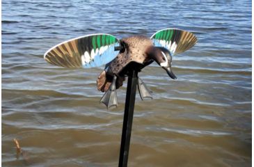 Image of Mojo Blue Wing Teal, Elite Series, HW2475