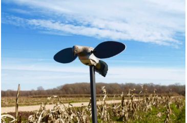 Image of Mojo Elite Series Dove Decoy