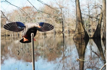 Image of Mojo Elite Series Mini Mallard Hen Decoy