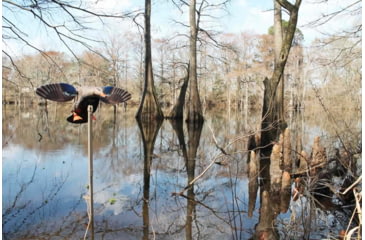 Image of Mojo Elite Series Mini Mallard Hen Decoy
