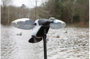Image of Mojo Es Diver Bluebill Decoy, Bluebill, HW2493