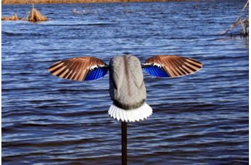 Image of Mojo Es Mini Mallard Drake Decoy w/ Remote, Mallard, HW2487