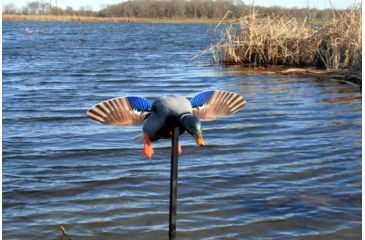Image of Mojo Es Mini Mallard Drake Decoy w/ Remote, Mallard, HW2487