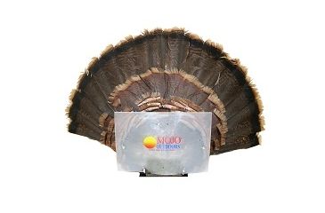 Image of Mojo Fan Press Decoy 80394