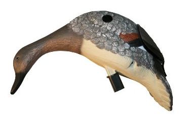 Image of Mojo Gadwall Decoy 80375