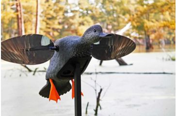 Image of Mojo Gadwall Decoy, Elite Series, HW2473