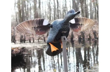 Image of Mojo ES Gadwall, Decoy, HW24733P