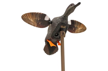 Image of MOJO HW2473-3P ES GADWALL HW24733P