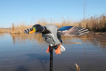 Image of Mojo Mini Mallard Drake Decoy, Elite Series HW2470