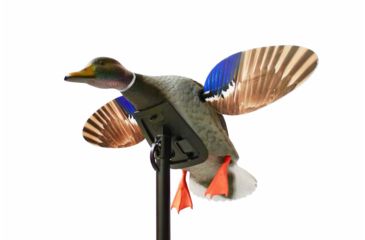 Image of Mojo Mini Mallard Drake Decoy, Elite Series, HW2470