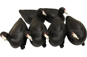 Image of Mojo MOJO Coot Confidence Decoys