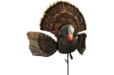 Image of Mojo Scoot N Shoot Max Turkey Decoy