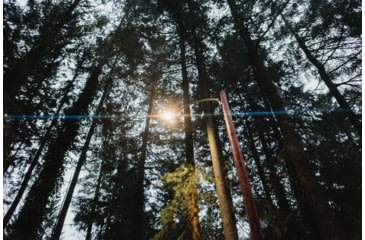 Image of Moment 67mm CineFlare Streak Filter, Gold, 600-126