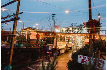 Image of Moment 67mm CineFlare Streak Filter, Gold, 600-126