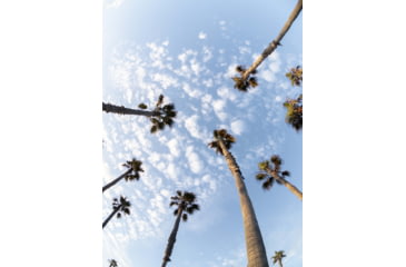 Image of Moment T-Series Fisheye Lens, 14mm, 130-106