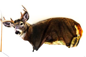 Image of Montana Decoy Co. Dream Team Whitetail Deer Doe and Buck Decoy 30