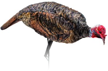 Image of Montana Decoy Co. Montana Decoy Turkey Jake Purr-fect Xd
