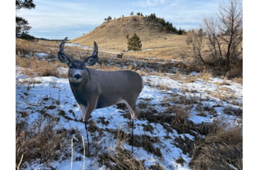 Image of Montana Decoy Co. Muley Buck Decoy