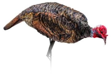 Image of Montana Decoy Co. Purr-Fect Pair XD Decoy Combo