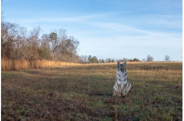 Image of Montana Decoy Co. Sitting Coyote Decoy