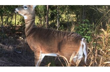 Image of Montana Decoy Co. Teaser Tail  Decoy, NSN N 74