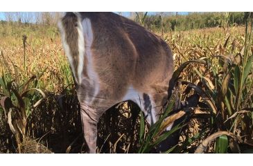 Image of Montana Decoy Co. Teaser Tail  Decoy, NSN N 74