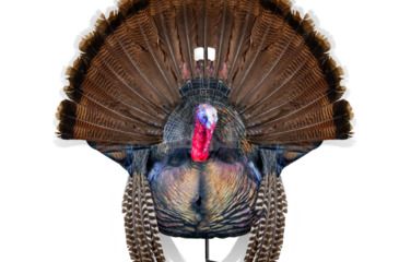 Image of Montana Decoy Co. Wiley Tom 0077