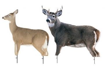 Image of dream team whitetail deer doe and buck decoy
