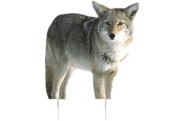 Image of kojo decoy